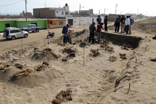 Otro evento que llamó la atención mundial fue el hallazgo del sacrificio de más de 140 niños.