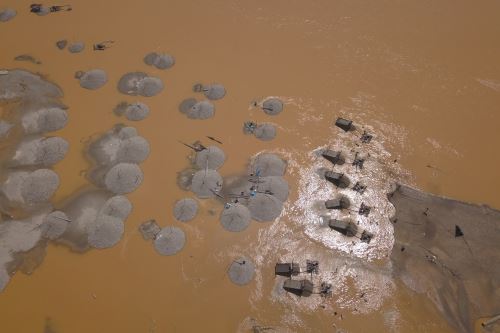 Estudio 'La Amazonía saqueada' abarca los ecosistemas selváticos de Bolivia, Brasil, Colombia, Ecuador, Venezuela y Perú.