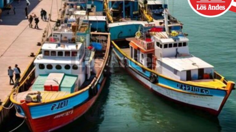 Puerto de Chancay impulsaría sector automotriz de Perú