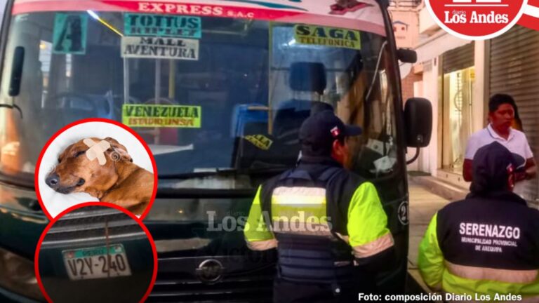 Conductor de Cotum atropella a perrito y abandona su suerte