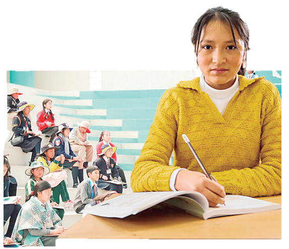 Aprendizajes desalentadores en el sur del país