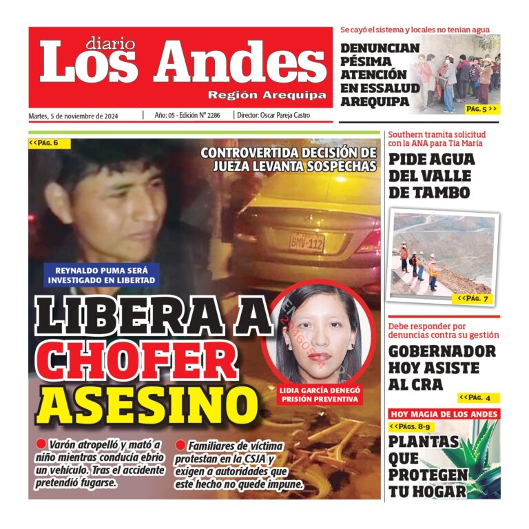 AREQUIPA: Diario los Andes 05/11/2024