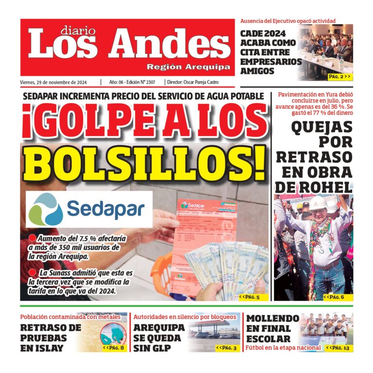 AREQUIPA: Diario los Andes 29/11/2024