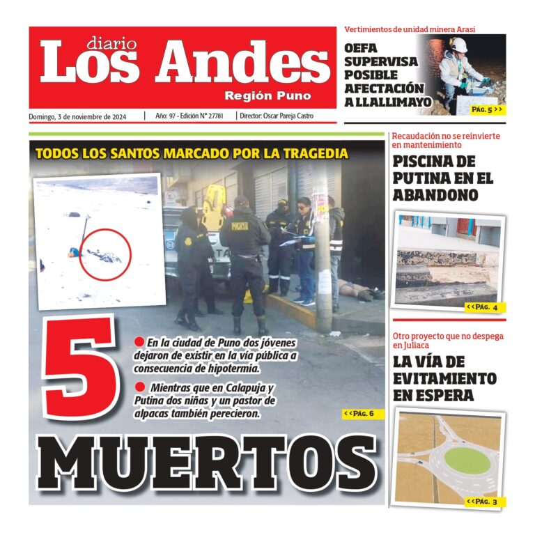 PUNO: Diario los Andes 03/11/2024