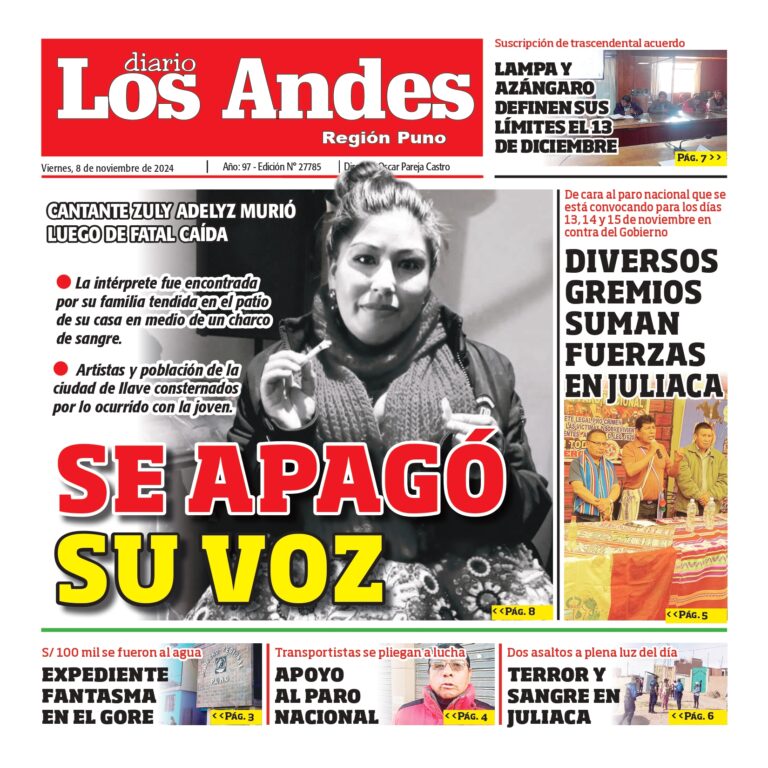 PUNO: Diario los Andes 08/11/2024
