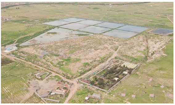 San Román: recuperarán terreno del botadero de Chilla