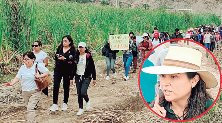 Arequipa: Mejía se opone al uso de su agua para Tía María