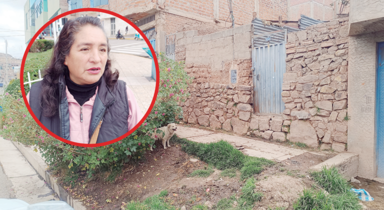 San Román: vecinos del jirón Lampa viven en zozobra por jauría