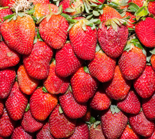 Venden fresas sabrosas pero envenenadas