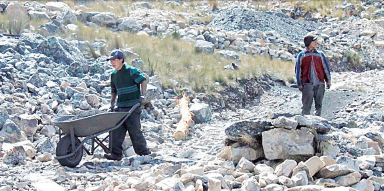 REINFO apto para ser ampliado por 6 meses