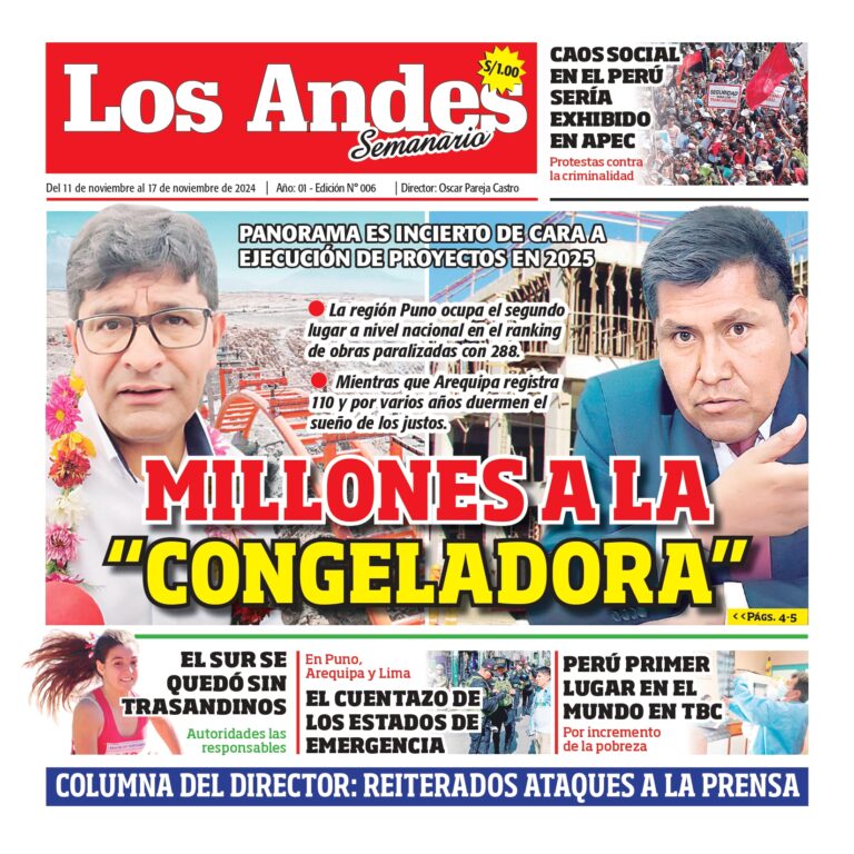 Semanario Los Andes 11/11/2024