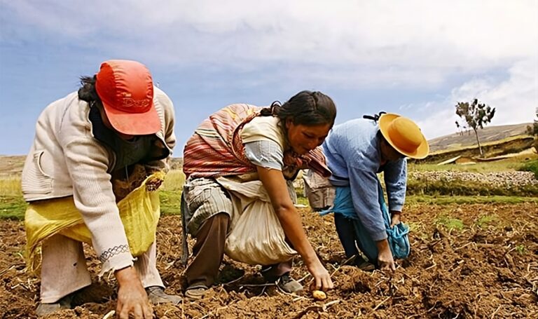 Sector agropecuario creció 2.8% hasta hoy
