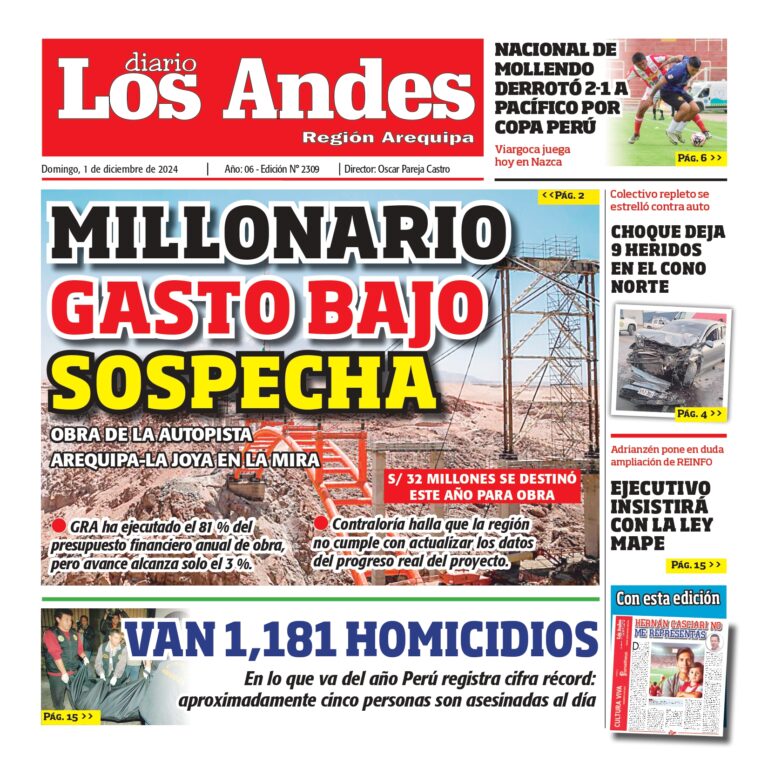 AREQUIPA: Diario los Andes 01/12/2024