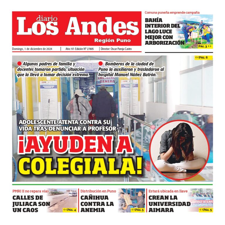 PUNO: Diario los Andes 01/12/2024