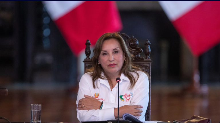 Los dos años de Dina Boluarte