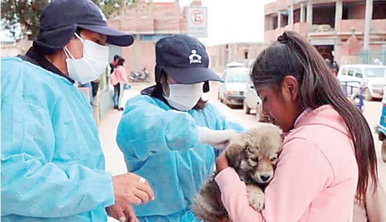 Juliaca: campaña contra la rabia hasta el 13