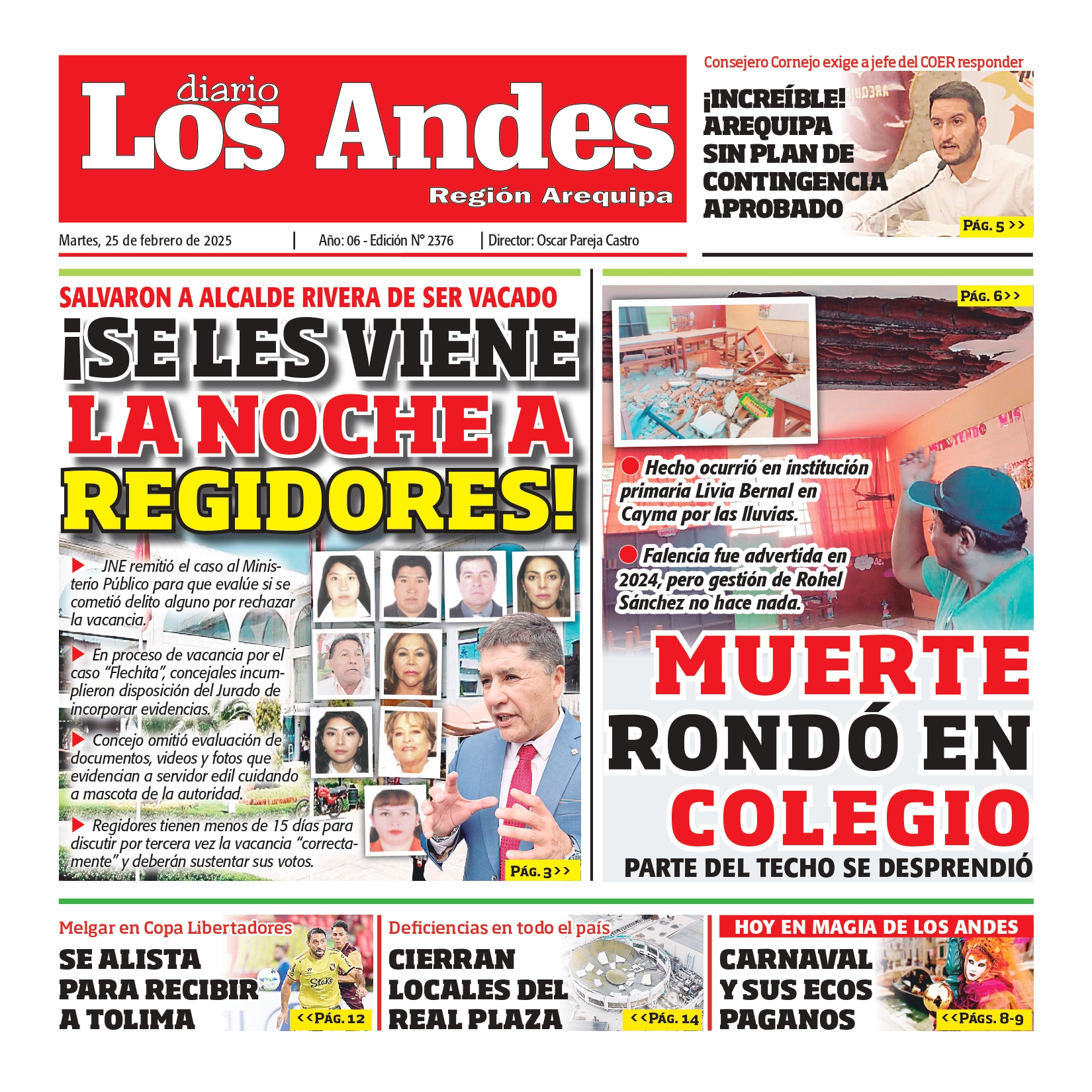 AREQUIPA : Diario los Andes 25/02/2025 - Diario los Andes