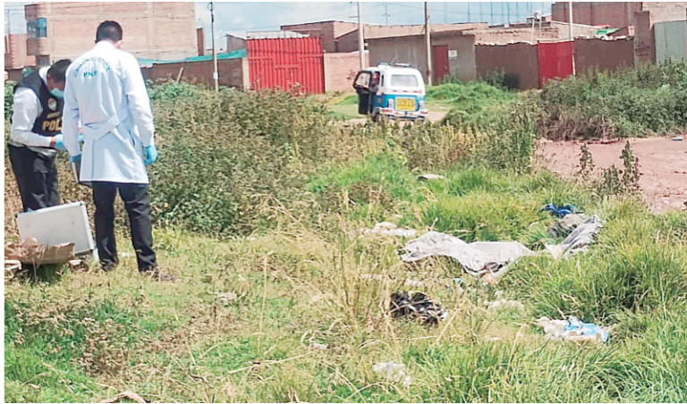 Juliaca: cadáver de mujer en descampado