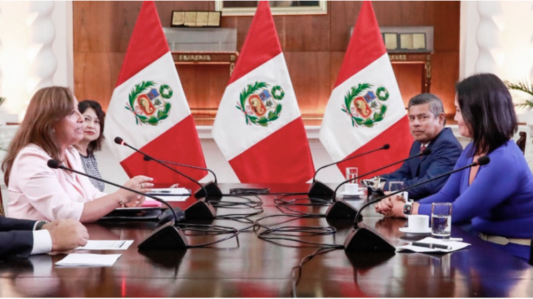 Fuerza Popular blinda a Dina Boluarte
