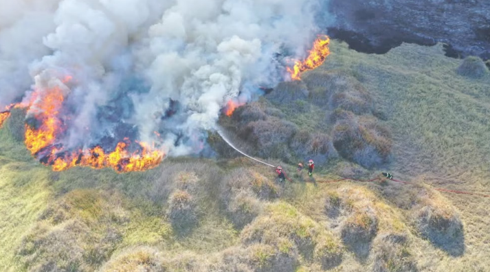 Arequipa: atentado contra Lagunas de Mejía