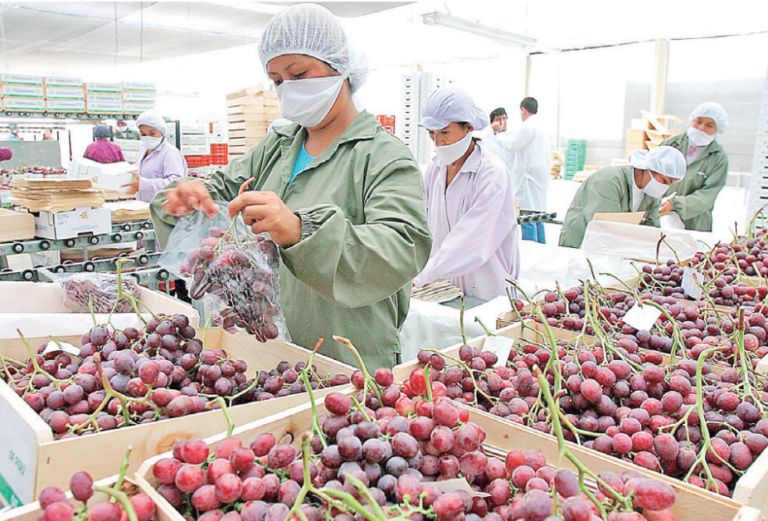 Mejores precios impulsan exportación