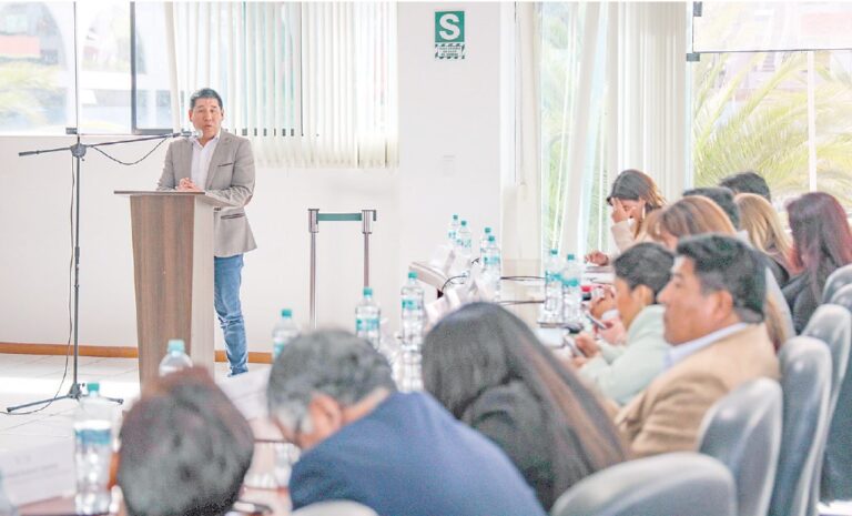 Arequipa: plaqueo solo aplicaría a vehículos particulares