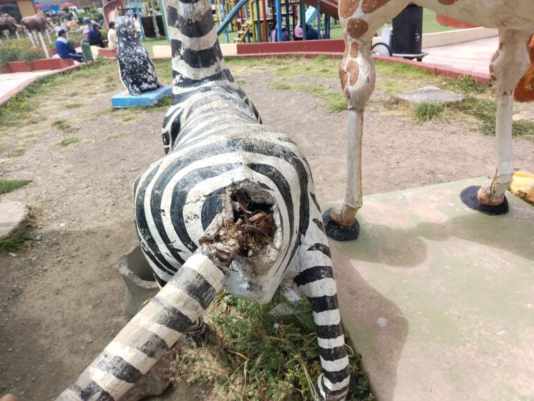 San Román: parque del niño está deteriorado