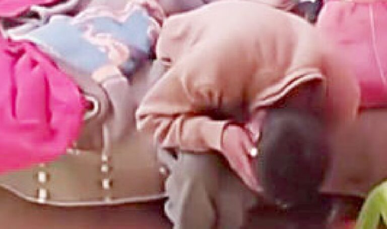 Puno: rompe palo en la espalda de su hijo