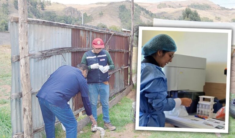 Salud regional en riesgo por improvisación en GORE Puno