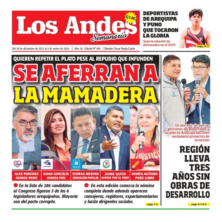 Semanario Los Andes 29/12/2025