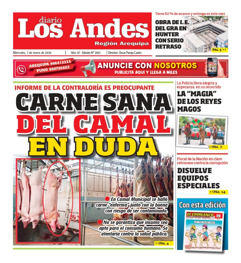 AREQUIPA: Diario Los Andes 07/01/2026