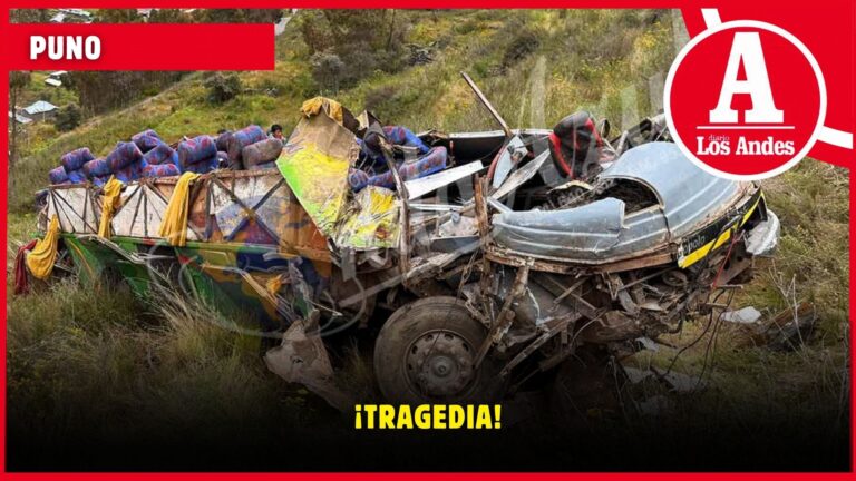 Puno: familia perdió a dos y uno lucha por vivir