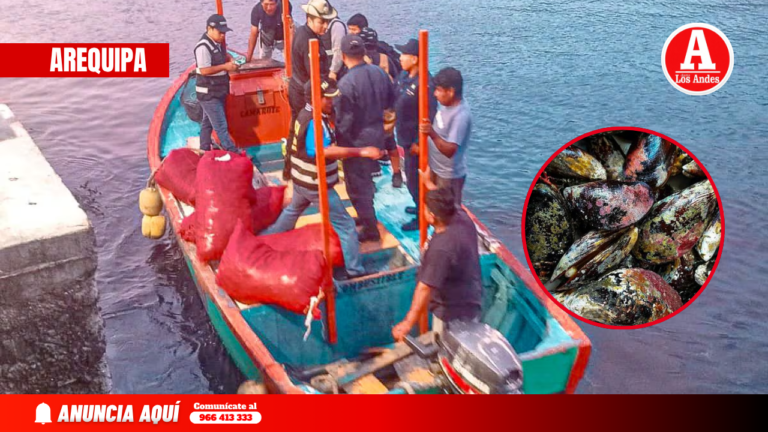 Incautan 640 kilos de choro en la Panamericana Sur