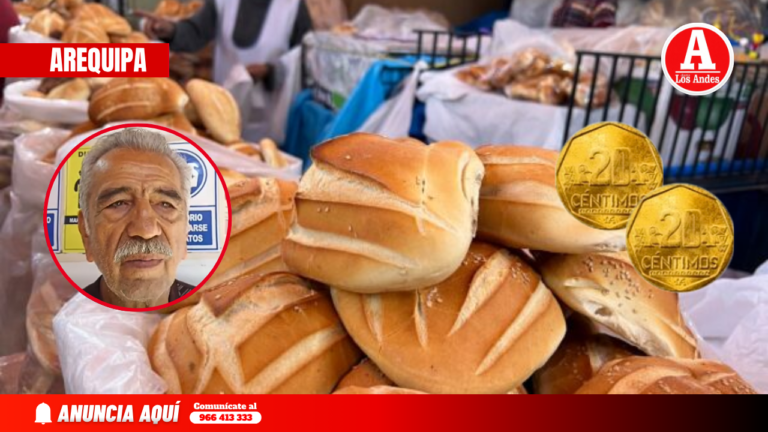 Pan podría subir a 40 céntimos cada unidad por alza de insumos