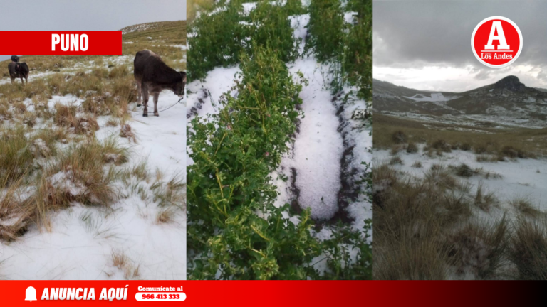 Granizada afecta cultivos y 30 familias en Macari