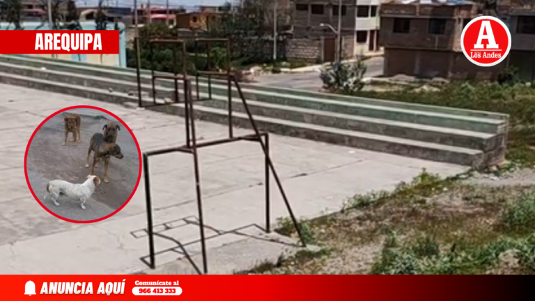 Vecinos denuncian actos obscenos contra perro en Cerro Colorado