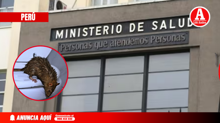 Minsa emite alerta por leptospirosis tras intensas lluvias