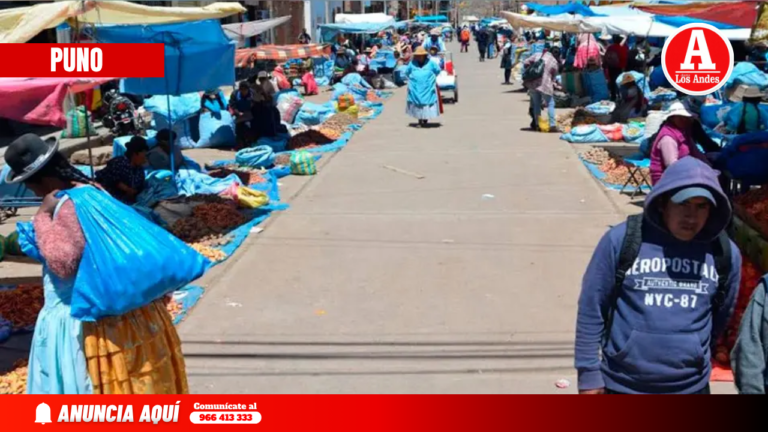 Según EPEN 2025: Informalidad en Puno alcanzó 88 %