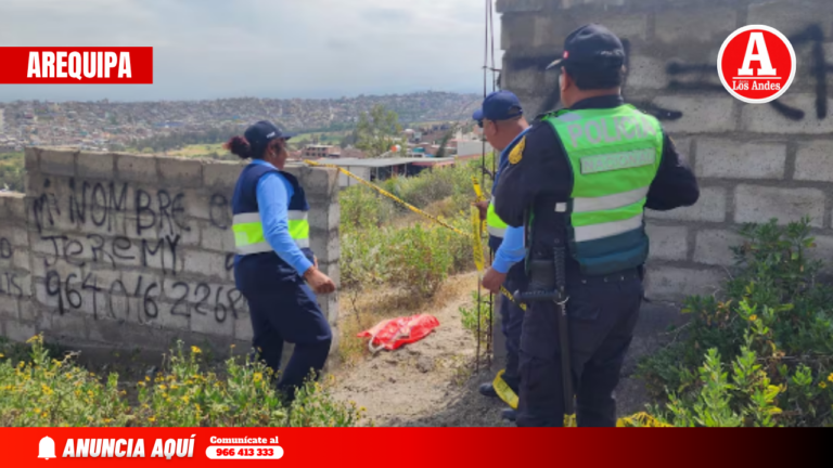 Hallan restos de bebé en descampado de Socabaya y presumen ataque de perros