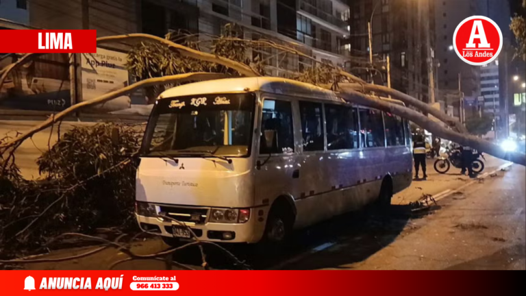 Lima: Árbol cae sobre cúster con escolares en Jesús María y provoca susto en plena vía