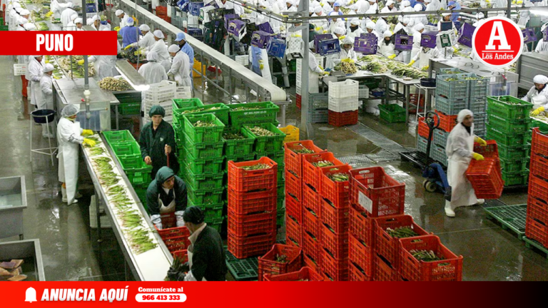 Exportaciones de Puno crecen 40.1 % y alcanzan US$ 6 mil 340 millones en 2025