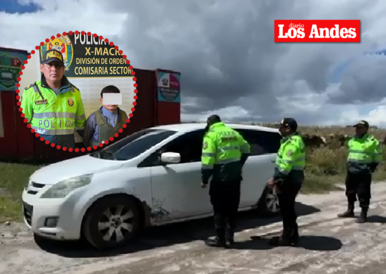 Yunguyo: Detención por presunta falsedad y recuperación de vehículo