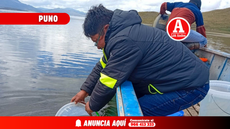 Liberan más de 31 mil alevinos de Carachi en Lagunillas