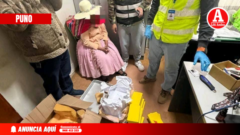 Puno: Policía incauta más de 22 kilos de cocaína en Desaguadero y detiene a mujer