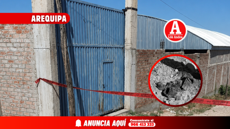 Adulta mayor fallece tras ser atacada por una jauría de perros