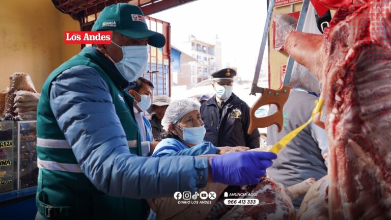 Operativo en mercado de Juliaca detecta carnes en mal estado e irregularidades