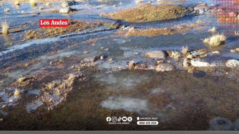 Puno: Senamhi registra -20.8 °C en Mazocruz la temperatura más baja del 2026