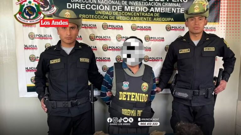 Arequipa: Detienen a hombre por comercializar especies de fauna silvestres protegidas