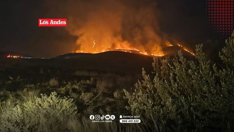 Arequipa: Incendio forestal en Yura continúa activo tras más de 24 horas