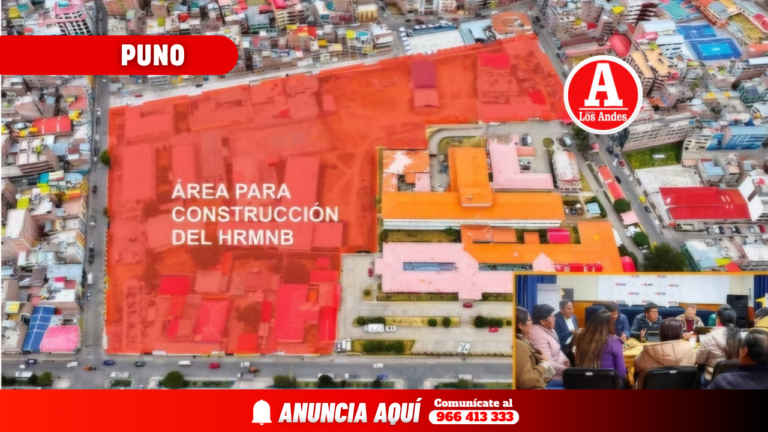 Pronis quiere abandonar construcción del M.N.B.